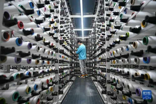 中國經濟十問之七 電子商務的現狀、挑戰與未來發展路徑